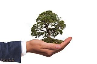 Environmental Assessment Checklist